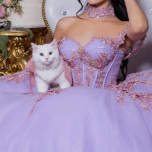Formal Evening Dresses Women 2024 Sweetheart Spaghetti Strap A-Line Floor Length Elegant Princess High Quality Birthday Gowns