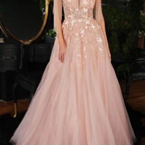 Elegant Long V Neck Tulle Prom Dresses Sleeveless Lace Embroidery Backless A Line Floor Length فساتين للمناسبات الرسمية