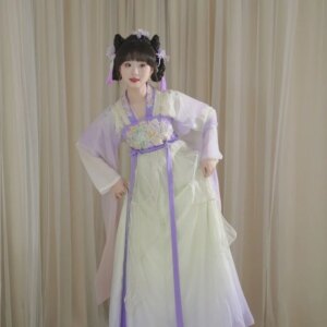 Adult New Women’s Hanfu Qi Chest Han Elements Elegant and Dress Daily Travel
