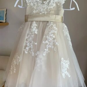 Tutu princess dress  pageant girls Lace tulle flower girl dresses for weddings  illusion birthday girl dress with lace applique