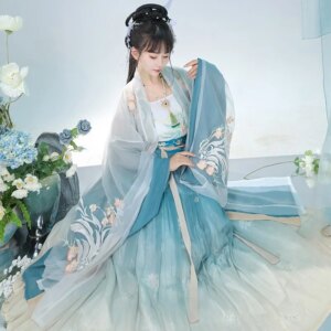 Hanfu female Chinese wind skirt embroidery big sleeve shirt thin ancient style suit