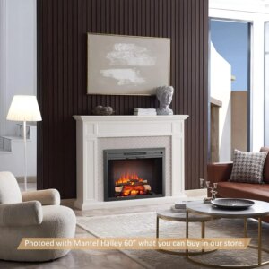 Damon 35″ W Electric Fireplace Insert with Glass Door and Mesh Screen (EF264B), Fireplace Heater