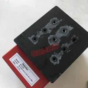 German Sensors Metrolux ML2100-0313-355-2P-2-366