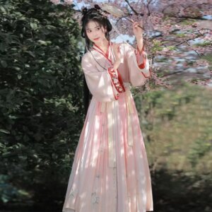 Hanfu suit with Chinese style Tang Song style embroidery and embroidery large sleeves, elegant retro fairy costume