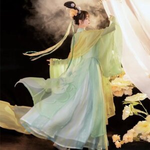Hanfu Women’s Tang Dynasty Big Sleeve Shirt Hezi Skirt Chinese Style Super Immortal Traditional Clothes
