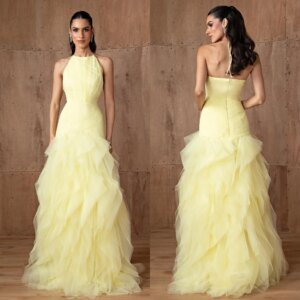 Customized Exquisite Net Pleat A-line Halter Long Dresses Bespoke Occasion Dresses Modern Style Pastrol Unisex Chinese Style For