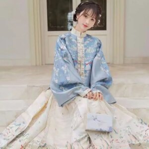 Chinese style Hanfu Zen style top+skirt new high-end embroidery art simple elegant series classical style set