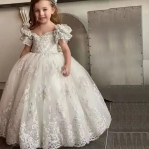 Customized Ivory Flower Girl Dresses Floral Embroidery With Bow Short Sleeve For Wedding Birthday Party Holy Communion Gown