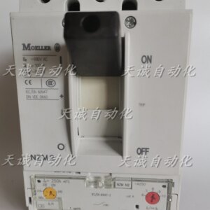 Moeller Jinzhong Mueller Circuit Breaker NZM2N2 40A 100A 125A 160A 200A 250a