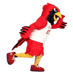 big red cardinal mascot costume custom fancy costume anime cosplay kit mascotte theme fancy dress carnival costume b0773