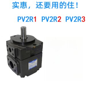 High pressure vane pump PV2R1 hydraulic oil Yongling pv2r2 quantitative assembly accessories pv2r3