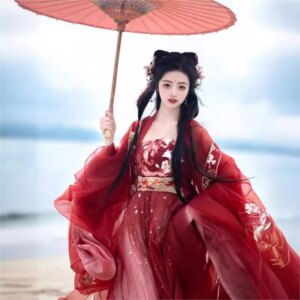 Heavy embroidery big sleeve shirt chebule skirt Hanfu women long style