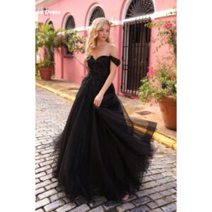 Lena A Line Women’s Elegant Party Dresses Woman Offensive Luxury Party Dress Custom Made Ball Gown Dress for Women Embroidery