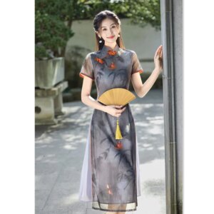 Mesh Long Short Sleeve Robe Qi Pao2025 Spring and Summer New Retro Ethnic Style Middle-Aged Elderly Daily Wearable