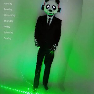 Mr Panda Stage dance Show costume Cosplay party halloween dancer nightclub bar led light headgear gloves gogo outfit