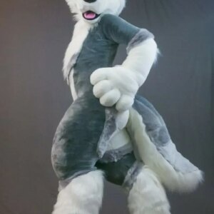 Birthday Party Gray Husky Dog Fursuit Mascot Costume Furry Costume Suits Cosplay Party Game Fancy Dress Christmas Adult Size