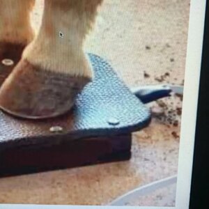 Hoof Boxes Physio Magnetic Handle for Horse Pain Relief