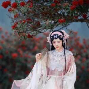 A complete set of new Hanfu women’s embroidered long-sleeved blouse and one-piece waist-length skirt