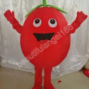 New Adult Hot Sale Foam Lovely Tomato Doll Fancy Cartoon Mascot Costume Plush Christmas Fancy Dress Halloween Mascot Costume