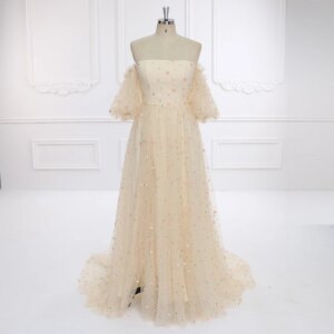 Elegant Off Shoulder Short Sleeve Embroidered Boho Tulle Maternity Dress for Photo Shoot Pregnancy Shooting Dress YEWEN YW231093