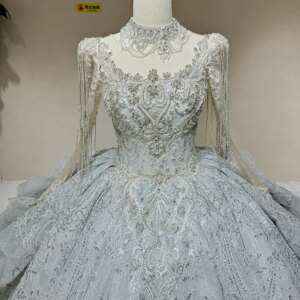 Customized Simple Charming Wedding Dresses O-Neck Organza Bridal Gowns Vintage Tassel Vestidos De Novia Vestidos De Novia Dw0022