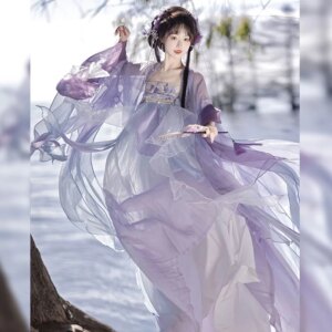 Purple Female Han Costume Cheoko Skirt Women’s Chinese Clothing Broken Sleeves Traditional Embroidery Spring and Summer