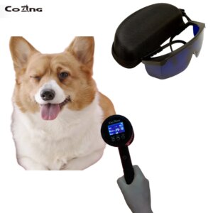 COZING Laser Physiotherapy Machine High Intensity Physical Laser Therapy Pain Relief Diode Laser 808nm Veterinary Equipment