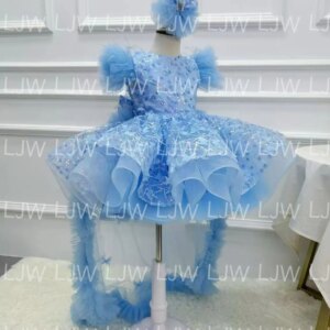 Dream Girl Sequin Butterfly Princess dress, floral children’s dress, New fashion feather puffy dress, Carnival birthday party