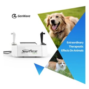 Equine Smart Tecar Vet Professional Cet Ret Pain Relief Physical Therapy Machine for Animal Treatment