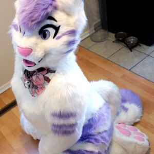 Husky Dog Mascot Costume Purple White Fursuit Fox Walking Halloween Christmas Large-scale Activity Cosplay Suit