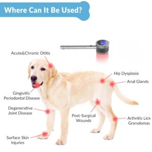 Relieve Back Pain and Joint Pain Cervical Machine Cold Laser Therapy Pain Relief Laser Therapy Joints Physical Rehabilitation