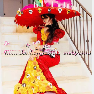 Bar Halloween costume Mexican Day of the Dead Mexican hat costume
