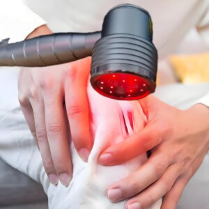 LLLT Cold Laser Therapy Device 650nm *11 808nm*5 Sport Injuries Sciatica Heel Spurs Neck Pain Relief Pet Red Light Therapy