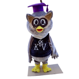 doctor owl mascot costume custom fancy costume anime cosplay kit mascotte theme fancy dress carnival costume 1021