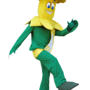 Daffodil mascot costume flower custom fancy costume anime cosplay kit mascotte theme fancy dress carnival costume b0565