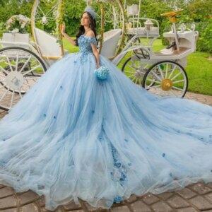 Customized Sky Blue Princess Ball Gown For Birthday Quinceanera Dress 3D Flowers Beading Appliques Made To Order Quinceañera