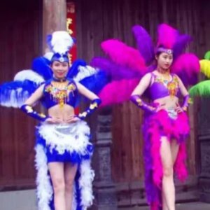 Samba Dance Costumes Do Not Include Backboards Or Feathers