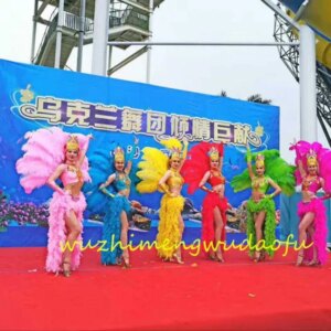 Samba Dance Grand Opening Dance Costumes Opening Show Dance Costumes Stage Costumes