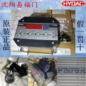 2025.4EDS1791-P-016-00906195921861,EDS1791–016-Y00