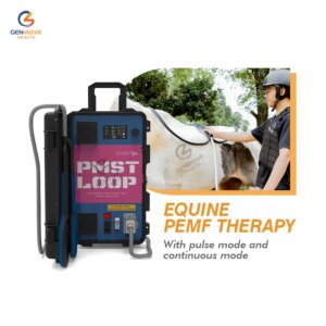 PMST LOOP Equine PEMF Therapy Pulsed Electromagnetic Field Magnetic Device for Horse Therapy
