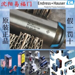 2025.4E+H Enderhaus FTL33-AA4M3AB3EJ, FTL33-1436/0, In Stock, Physical Photos