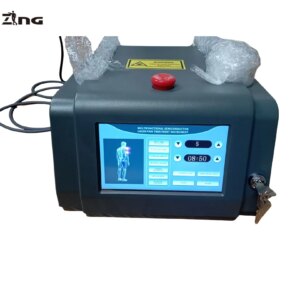 Professional Class Iv Infrared Diode Laser Therapy Machine for People and Animals Use to Pain Relief