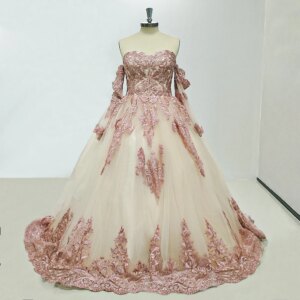 New Luxury Off The Shoulder Appliques A-line Fantasy Sheer Evening Dress Fashion Floor Length Ball Gowns