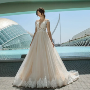 Elegant Long V-Neck Champagne Lace Wedding Dresses A-Line Cap Sleeve Tulle Sweep Train Bridal Gown Buttons Back Vestido de novia