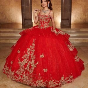 Customized Red Charming Spaghetti Straps Quinceanera Dress Floor Length Lace Appliques Lacing up Birthday Party Drop