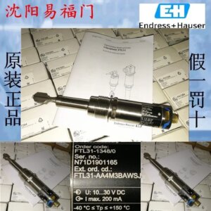2025.4E+H FTL31-AA4M3BAWSJ FTL31-1348/0
