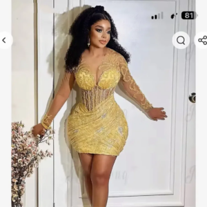Sexy Mermaid Short Sweetheart Lace applique with Long Sleeve prom Dress Knee Length Special Occasion Party Evening Dress 2024