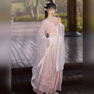 Hanfu suit with Chinese style Tang Song style embroidery and embroidery large sleeves, elegant retro fairy costume