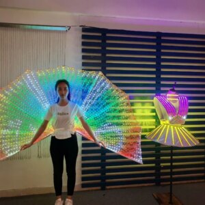 Luxury Stage Show wing club carnival show Program led wings festival outfit