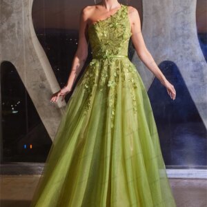 Vintage Evening Dresses A Line Tulle Prom Dress Appliques فساتين سهرة Vestidos De Gala Customized فساتين للمناسبات الخاصة 2025